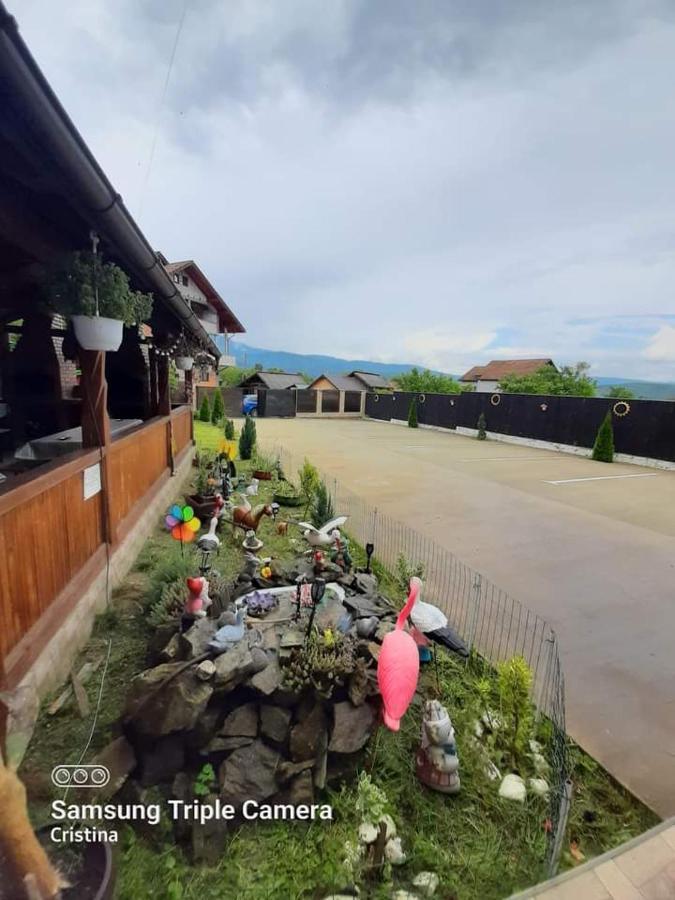 Casa Trache Hotel Călimăneşti Exterior foto