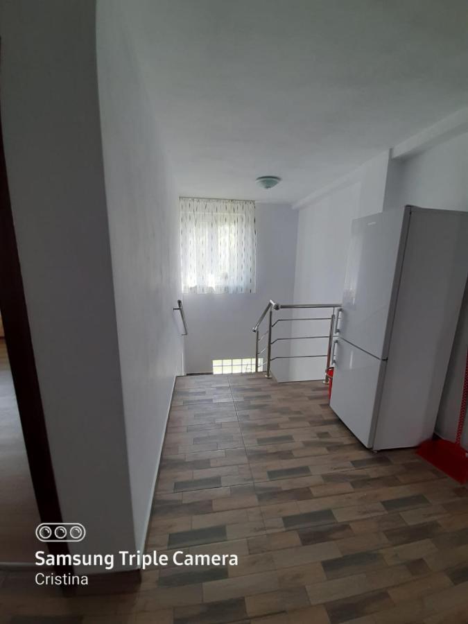 Casa Trache Hotel Călimăneşti Exterior foto